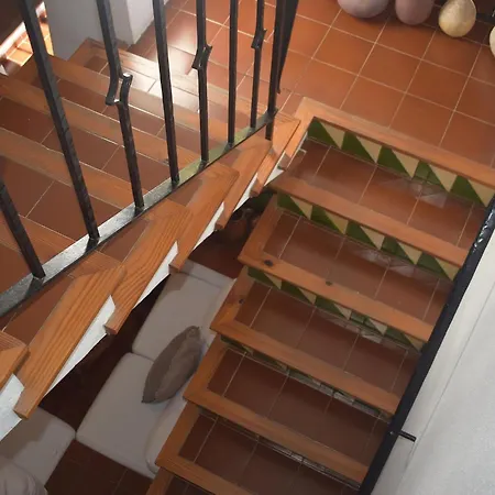 El Jardi De